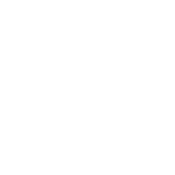 University of South Wales